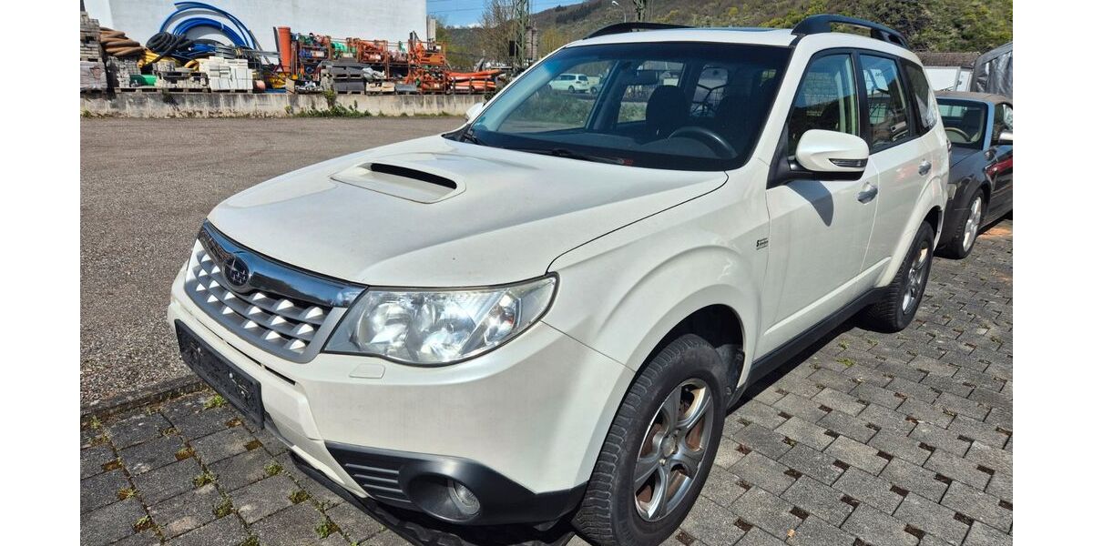 Subaru Forester 307.000 km 2.999 &euro; Boppard/Bad Salzig 56154