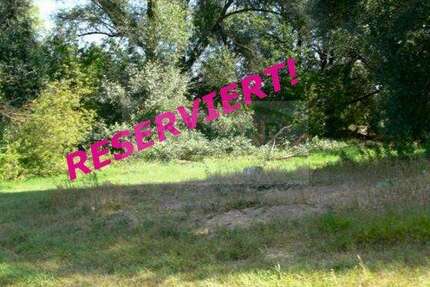 Grundstück zu verkaufen in Zechin Buschdorf 25.000 € 1190 m² zimmer