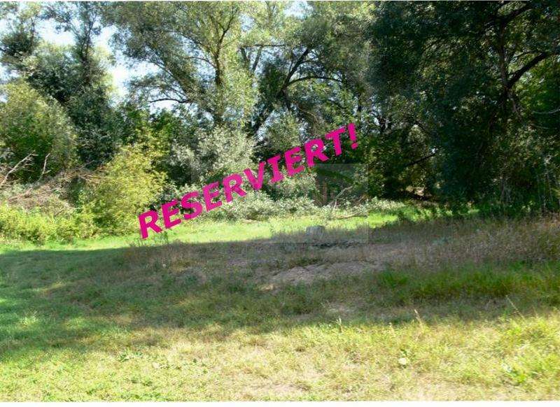 Grundstück zu verkaufen in Zechin Buschdorf 25.000 € 1190 m² zimmer