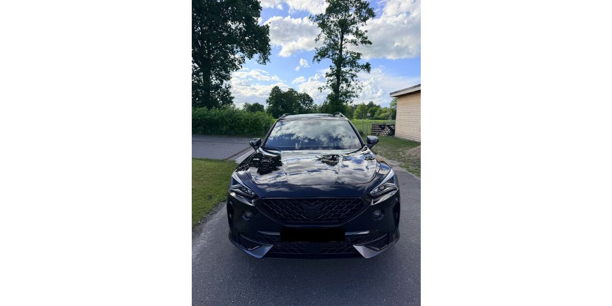 Cupra Formentor 55.600 km 24.990 &euro; Barßel 26676