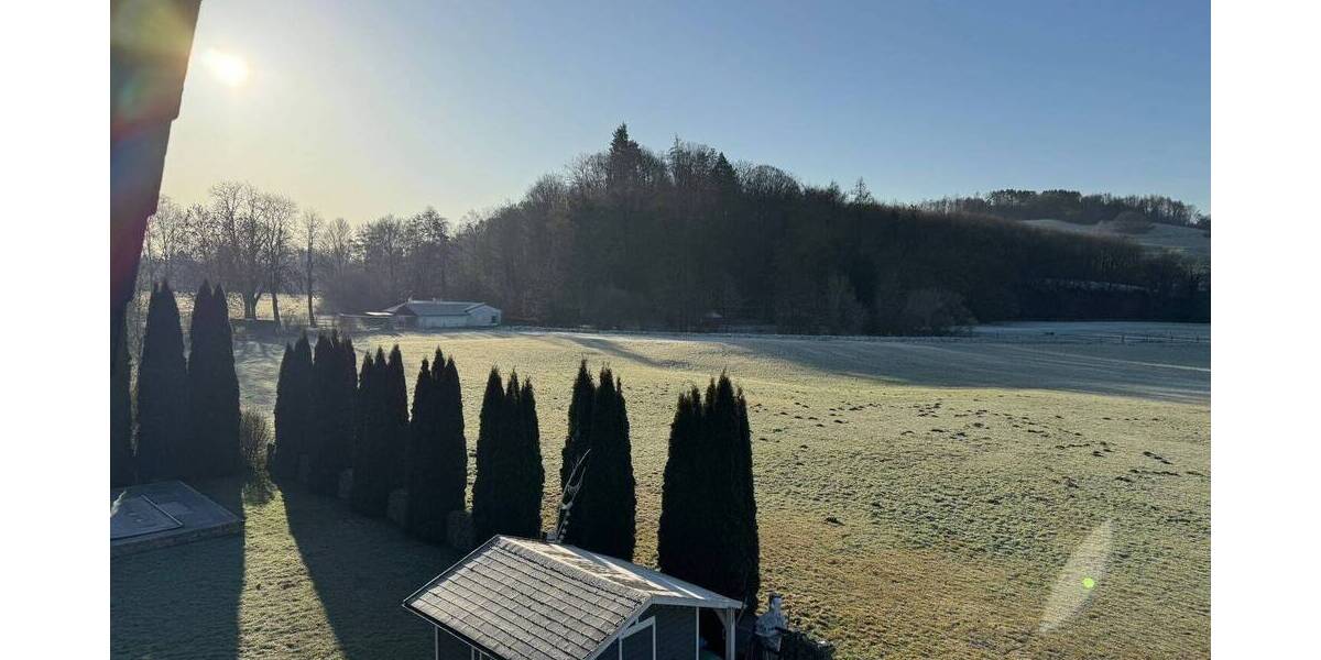 Mehrfamilienhaus, Wohnhaus Bad Grund Badenhausen - 7 Zimmer, 199 m&sup2;, 229.000&euro; | Angebot:26093967