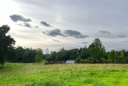 Grundstück Müncheberg - 149.000&euro; | Angebot:12925545