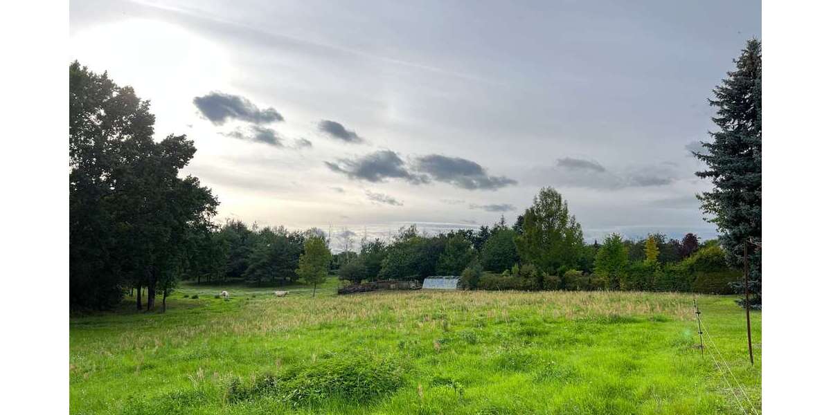 Grundstück Müncheberg - 149.000&euro; | Angebot:12925545