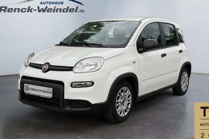 Fiat Panda 12.917 km 11.989 &euro; Ludwigshafen 67071