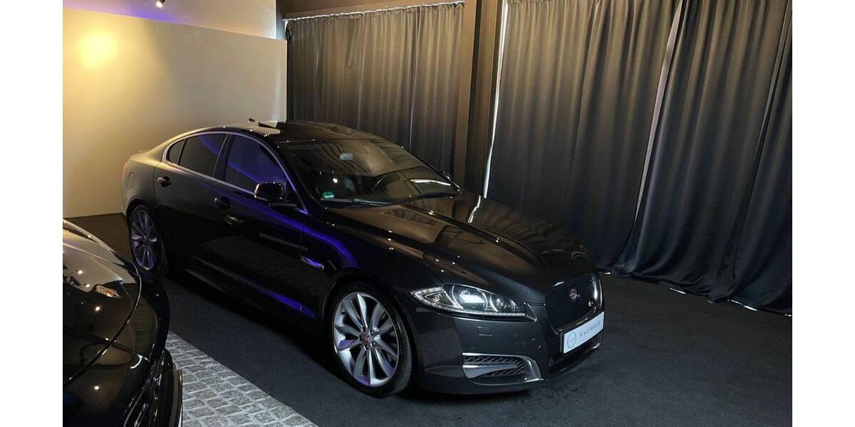 Jaguar XF 141.000 km 17.990 &euro; Schapen 48480