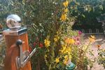 Einfamilienhaus Gevenich - 134.000&euro; | Angebot:26440144