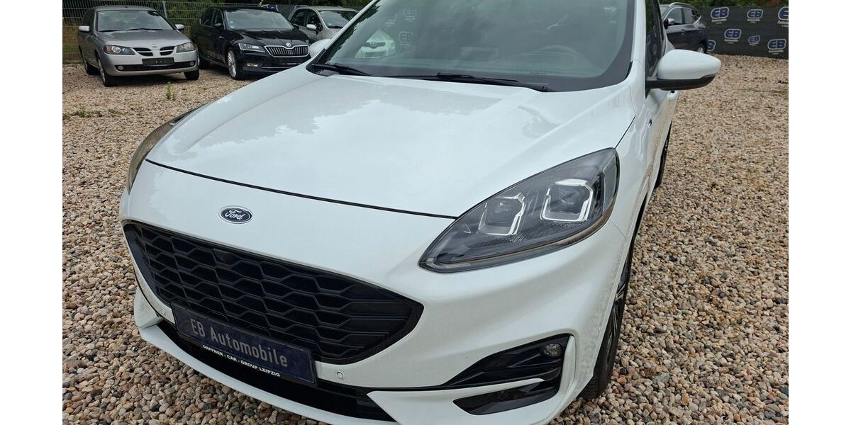 Ford Kuga 116.000 km 19.888 &euro; Bitterfeld-Wolfen OT Wolfen 06766