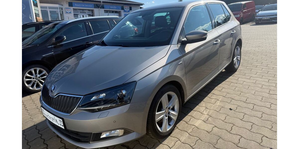Skoda Fabia 115.812 km 11.890 &euro; Thermalbad Wiesenbad OT Schönfeld 09488