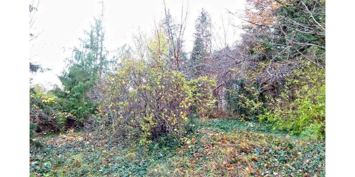 Grundstück Rietschen - 20.000&euro; | Angebot:25746002