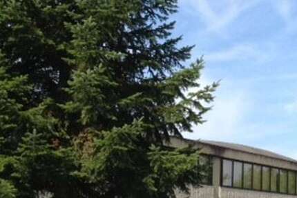 Gewerbeobjekt Eggenstein - 1.155&euro; | Angebot:13505992