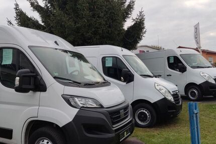 Opel Movano 42.100 km 19.990 &euro; Seelow bei Frankfurt/O. 15306