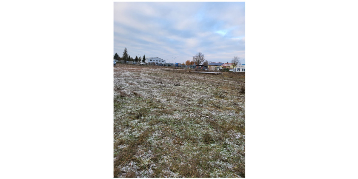 Gewerbeobjekt Seehausen (Altmark) - 800&euro; | Angebot:25126297