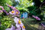 Charmantes Reihenendhaus mit Garten, Terrasse und Garage in Odenkirchen!