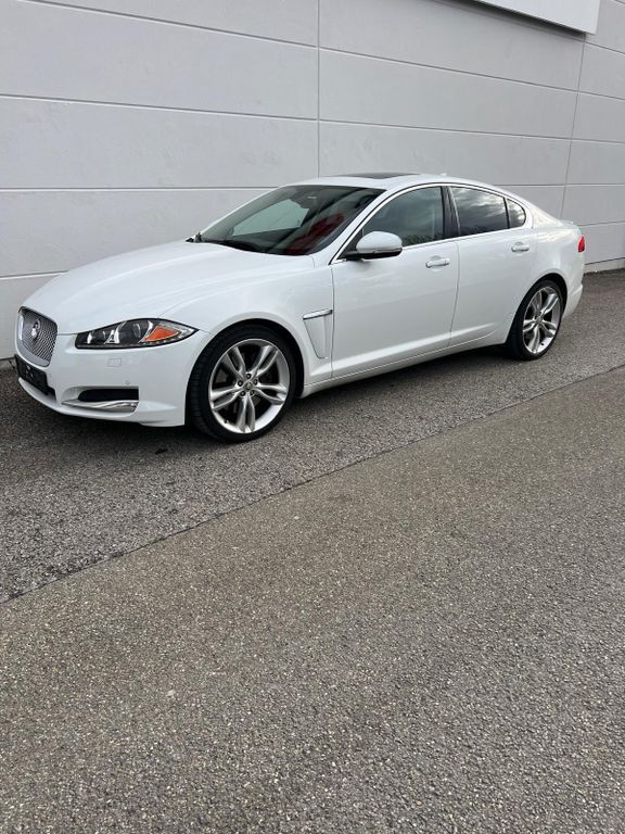 XF