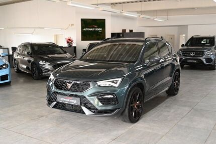 Cupra Ateca 100.210 km 24.990 &euro; Menslage 49637