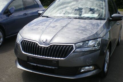 Skoda Fabia 49.555 km 13.990 &euro; Hermeskeil 54411