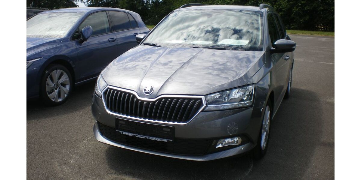 Skoda Fabia 49.555 km 13.990 &euro; Hermeskeil 54411