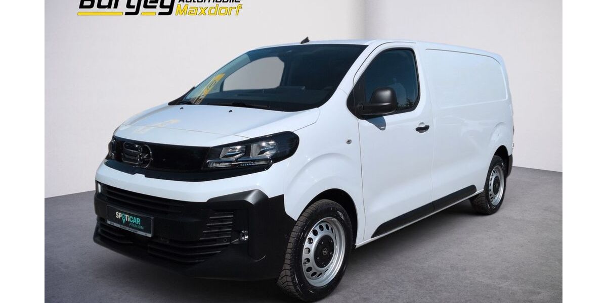Opel Vivaro 1.100 km 27.980 &euro; Maxdorf 67133