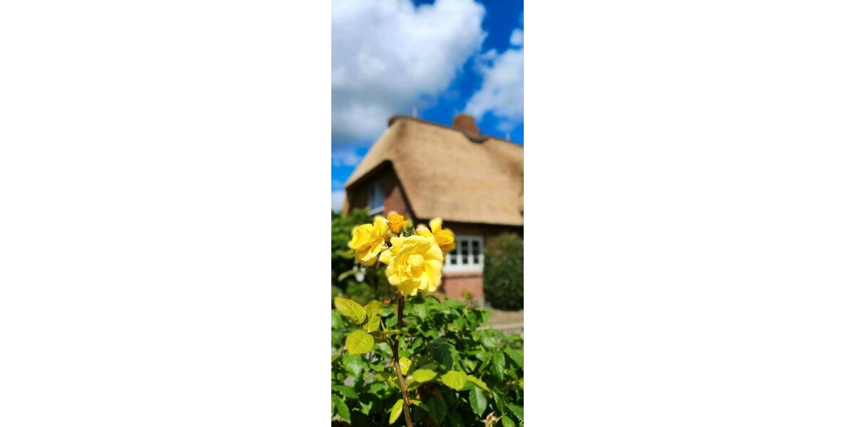 Einfamilienhaus Wyk Auf Föhr - 1.850.000&euro; | Angebot:27216293