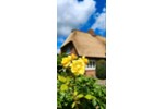 Einfamilienhaus Wyk Auf Föhr - 1.850.000&euro; | Angebot:27216293