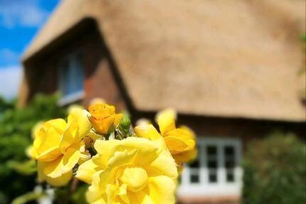Haus Wyk Auf Föhr - 1.850.000&euro; | Angebot:27216293