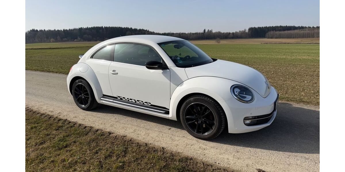 VW Beetle 170.000 km 7.599 &euro; Leibertingen 88637