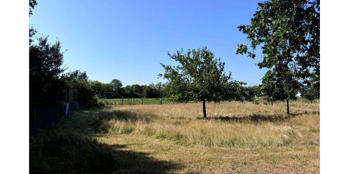 Grundstück Werben (Elbe) Behrendorf - 20.000&euro; | Angebot:19285916