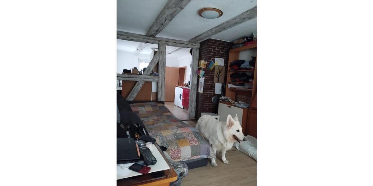 1 Zimmer Wohnung in Harlingerode zu vermieten 1 zimmer