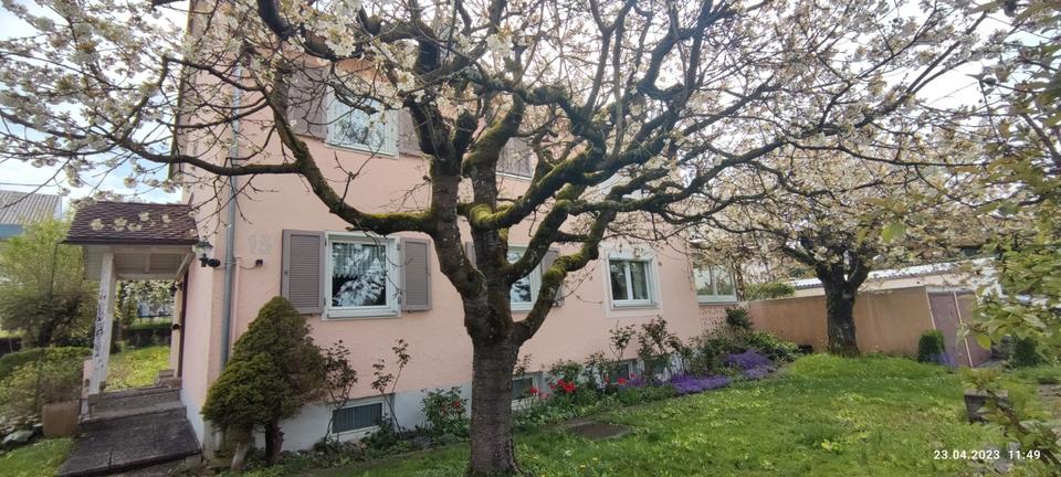 Etagenwohnung Tettnang - 6 Zimmer, 150 m&sup2;, 1.900&euro; | Angebot:26285265