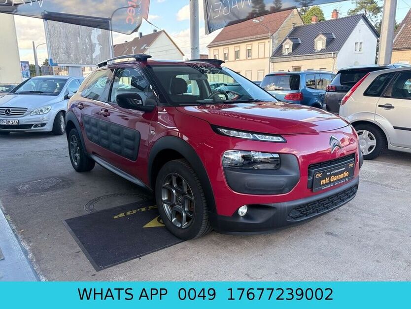 C4 Cactus