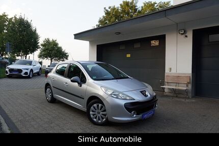 Peugeot 207 141.000 km 2.650 € Owen 73277
