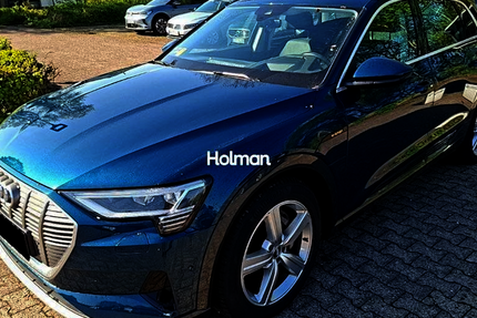 Audi e-tron 138.382 km 21.941 &euro; Eschborn 65760