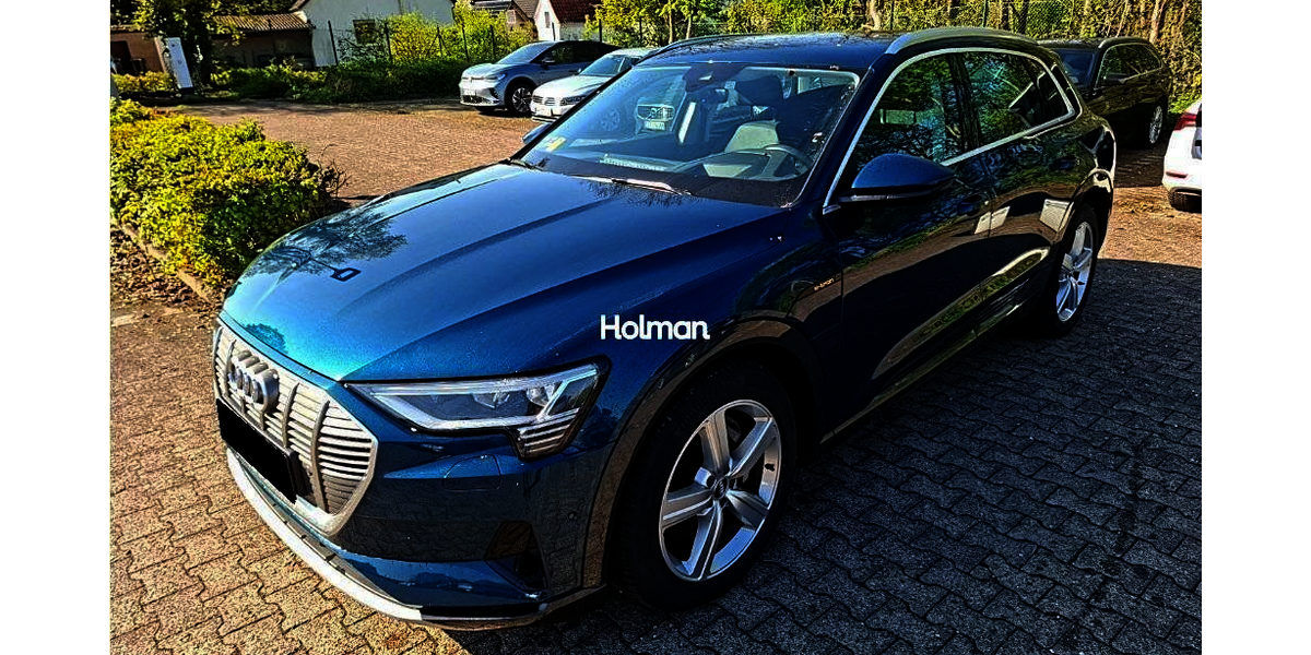 Audi e-tron 138.382 km 21.941 &euro; Eschborn 65760