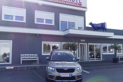 Skoda Yeti 52.000 km 11.000 &euro; Magdeburg 39108