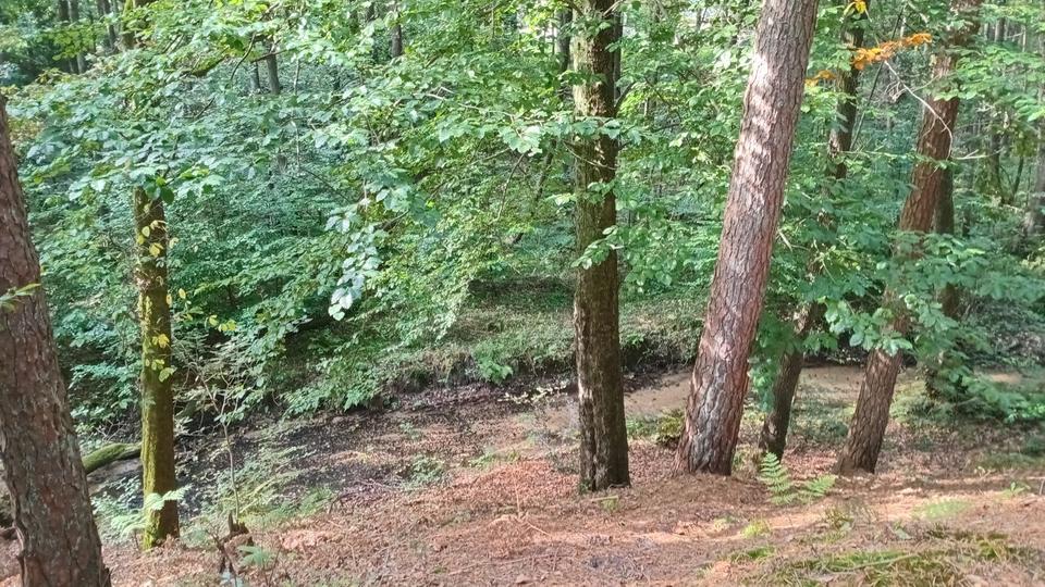 Einfamilienhaus Oerlinghausen - 40.000&euro; | Angebot:25365727