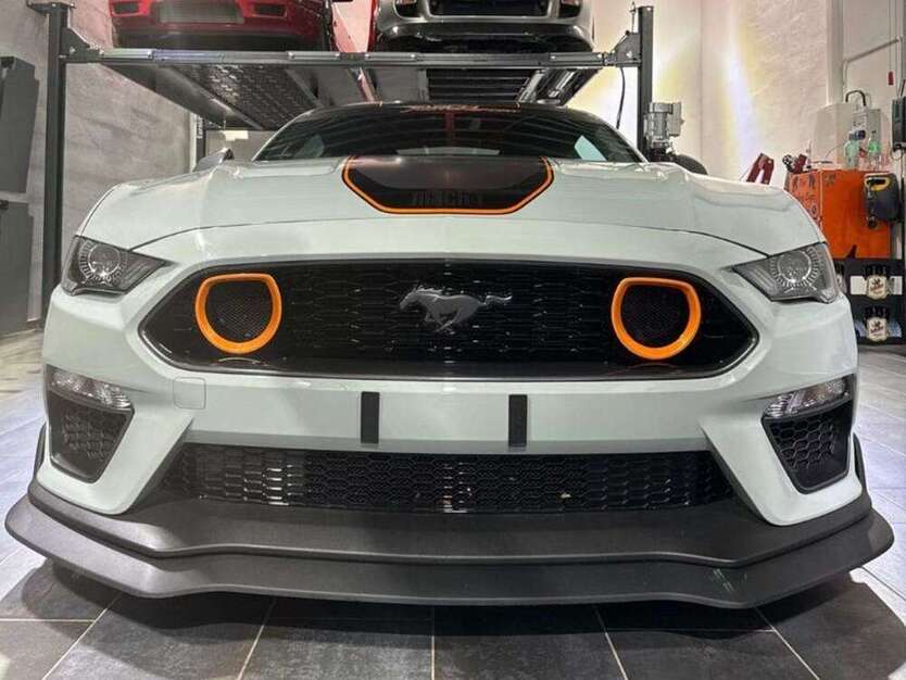 Mustang