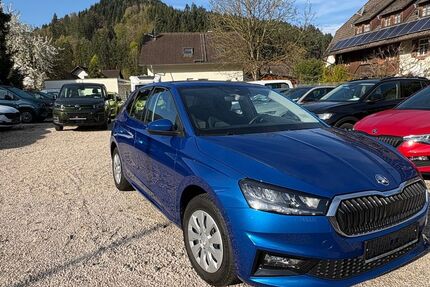 Skoda Fabia 14.541 km 17.700 &euro; Gutach 77793