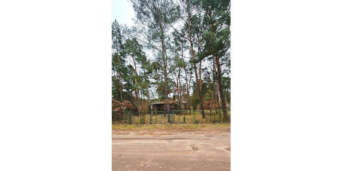 Hauptstadtmakler-Traumhaftes Baugrundstück in guter Lage zimmer