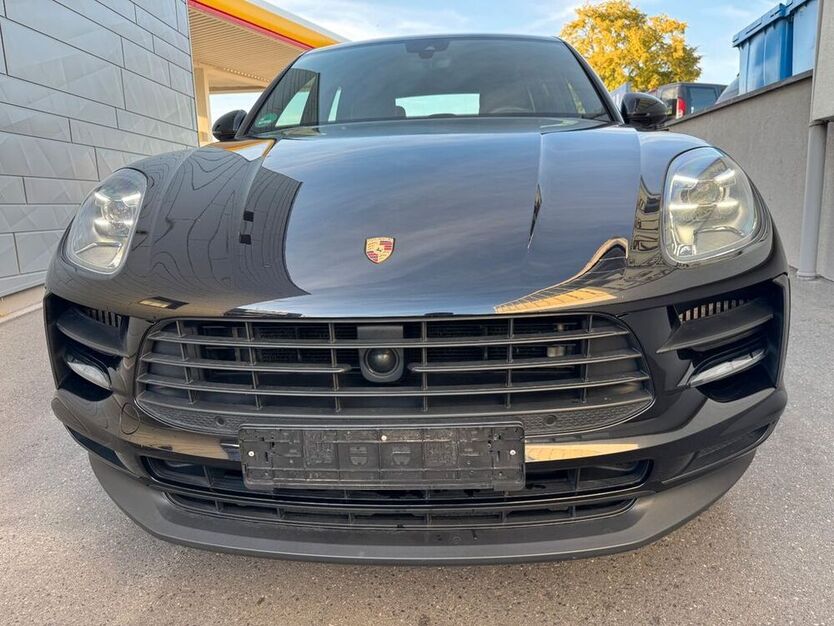Macan