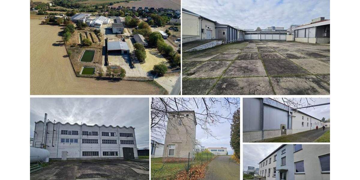 Gewerbeobjekt Grimma Mutzschen - 1.900.000&euro; | Angebot:24042483