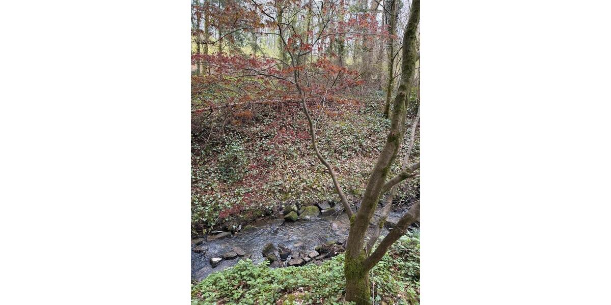 Doppelhaushälfte Much - 5 Zimmer, 168 m&sup2;, 359.000&euro; | Angebot:26153508