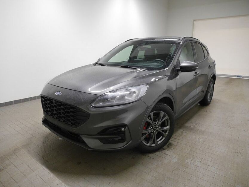 Kuga