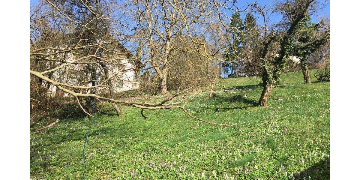 Grundstück Waldeck - 59.000&euro; | Angebot:25737996