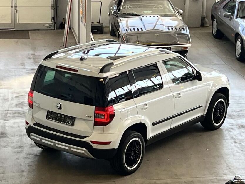 Yeti