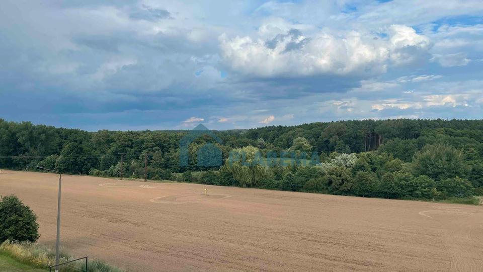 Gewerbeobjekt Lübz - 954&euro; | Angebot:26293989