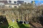 Einfamilienhaus Wesseling Berzdorf - 5 Zimmer, 134 m&sup2;, 699.000&euro; | Angebot:25970032