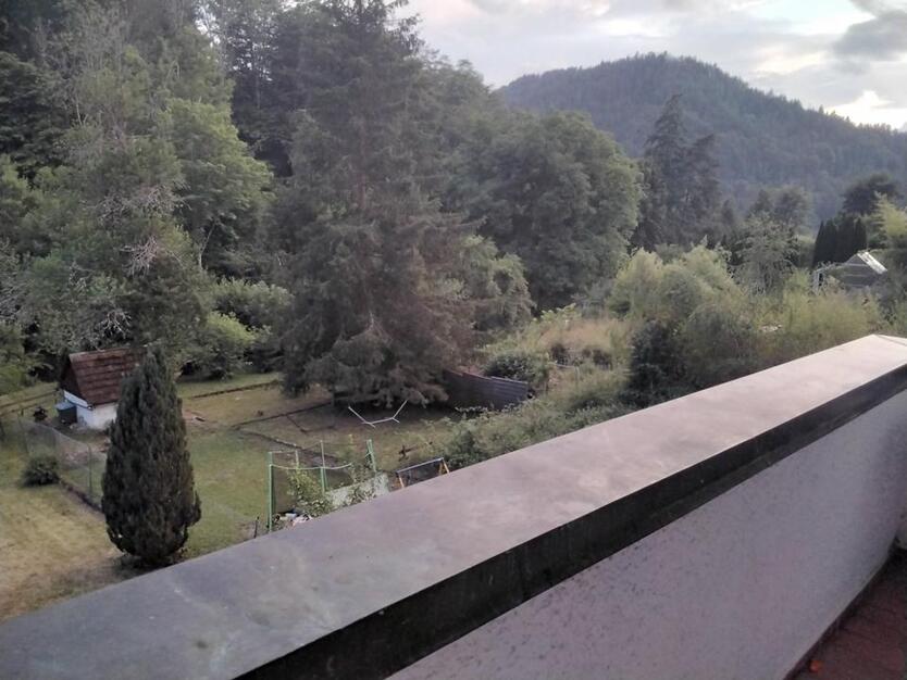 Schramberg gemütliche 1 Zimmerwohnung in ruhiger Lage