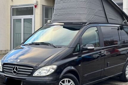 Mercedes Viano