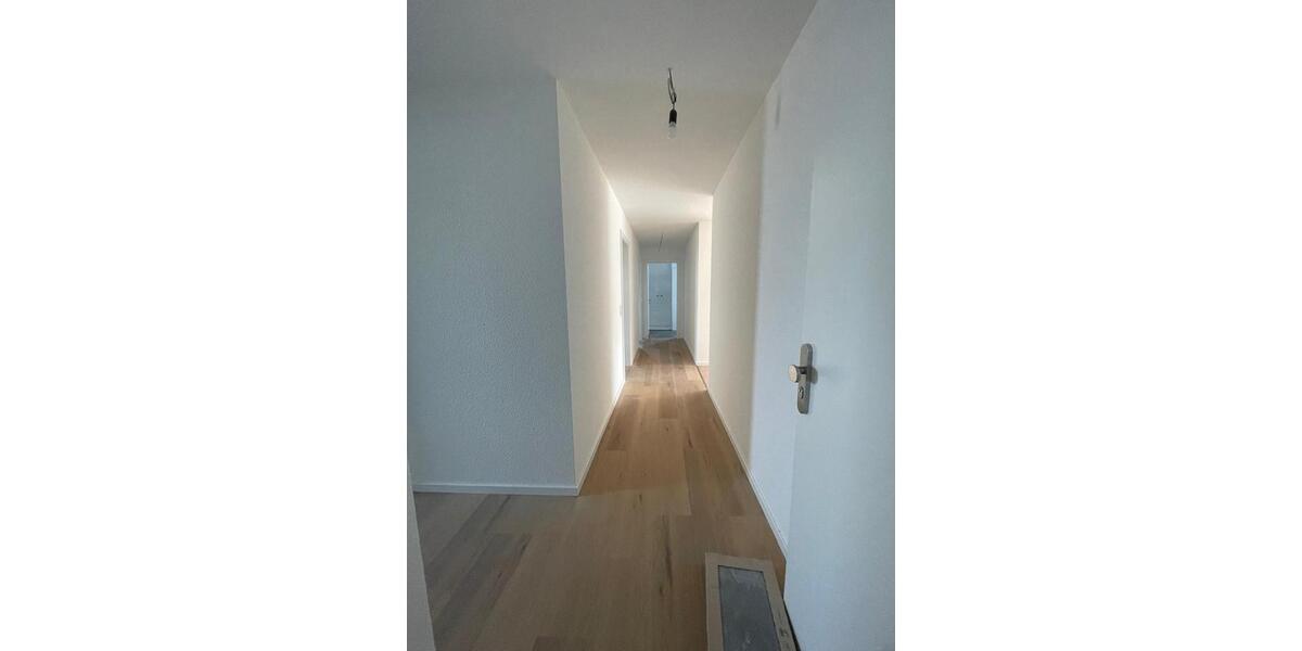 3-Zi. Neubauwohnung in Rheinsheim 3 zimmer