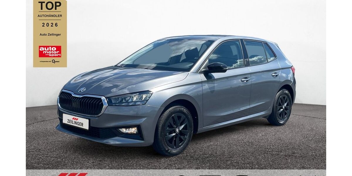 Skoda Fabia 16.110 km 16.245 &euro; Dietersheim 91463